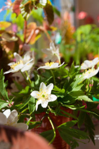 photo-10