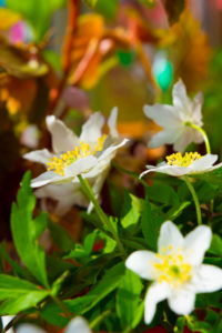photo-11