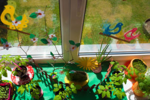 photo-12