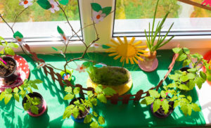 photo-13
