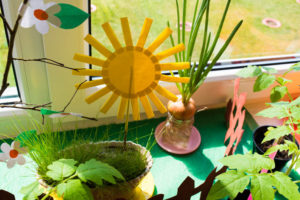 photo-14