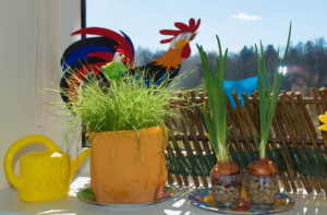 photo-21