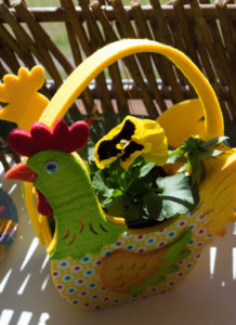 photo-25