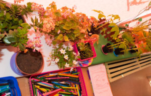 photo-3